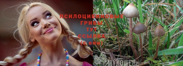 MESCALINE Кинешма