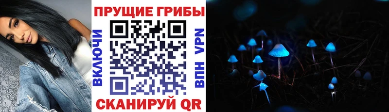 Галлюциногенные грибы MAGIC MUSHROOMS  наркошоп  MEGA сайт  Липецк 
